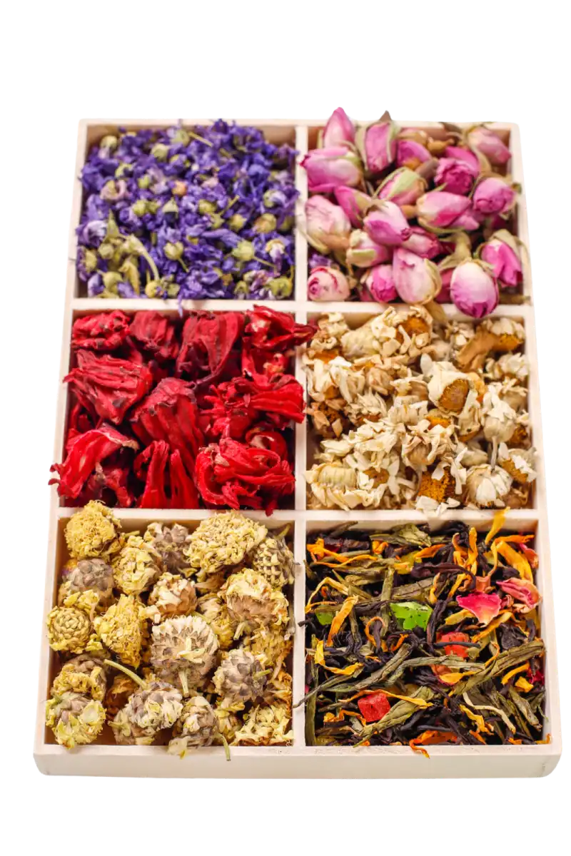 Herbal Ingredients of Chinese Medicine